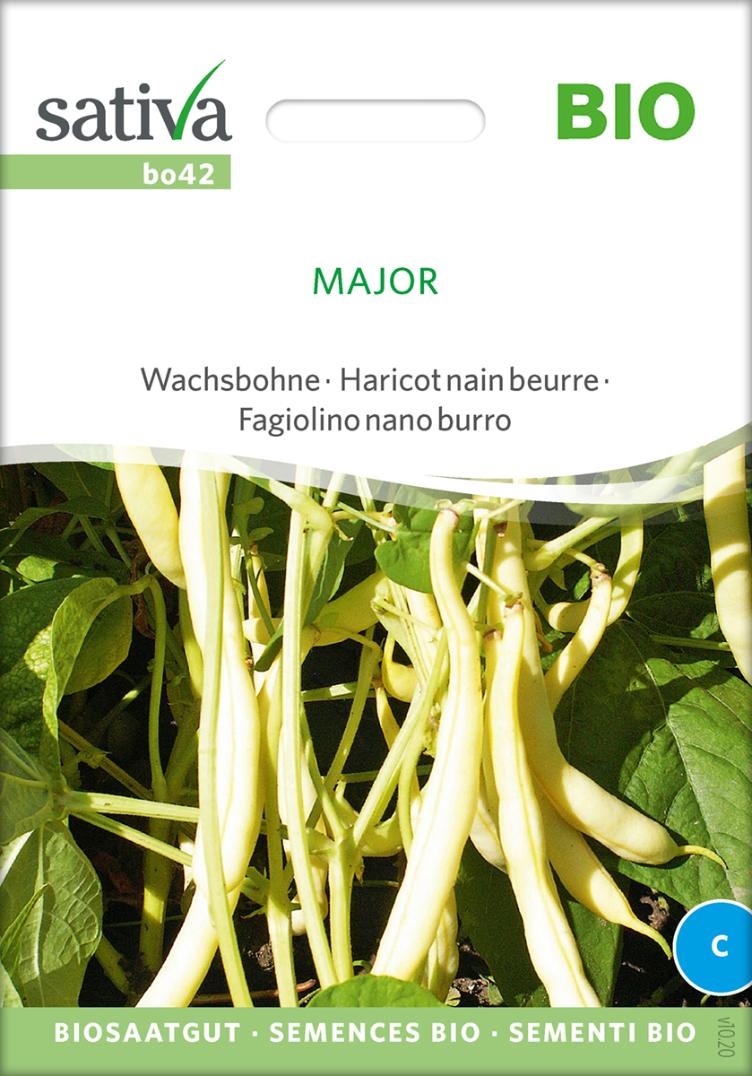 Wachsbohne `Major`