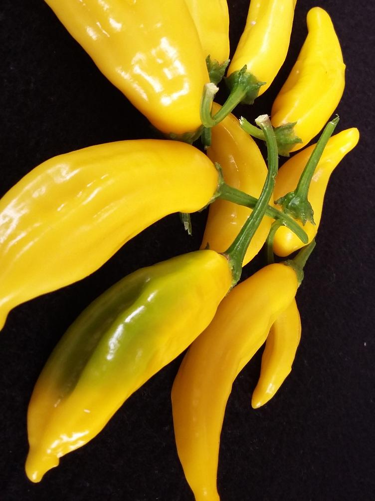 Chili Lemon Drop
