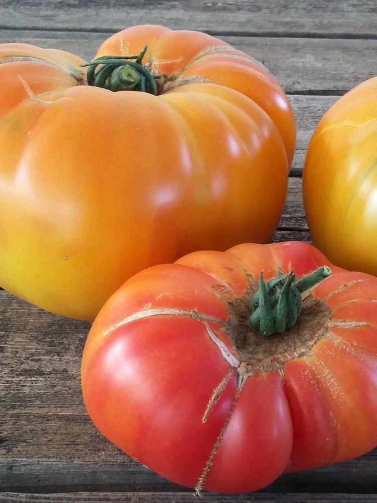 Fleischtomate Ananas