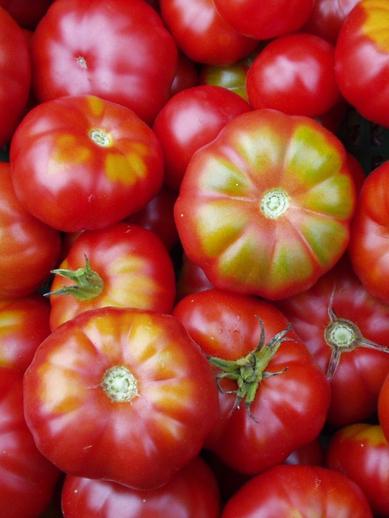 Fleischtomate Zürcher Original