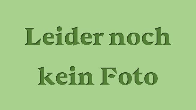 Fuchsia Foxtrot