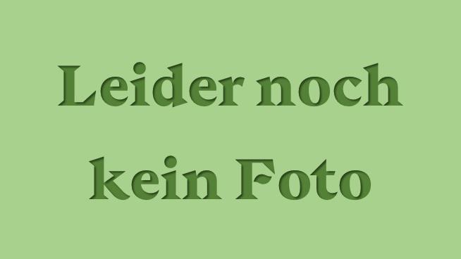 Fuchsia Vrens Winteregg