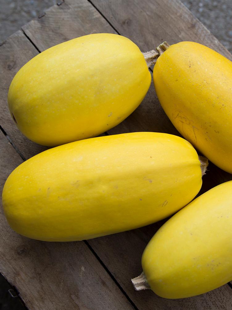 Gartenkürbis Vegetable Spaghetti