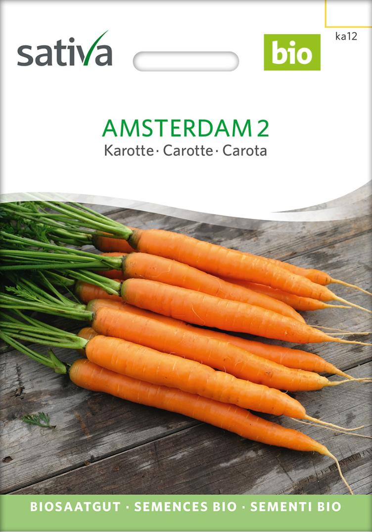 Karotten `Amsterdam 2`