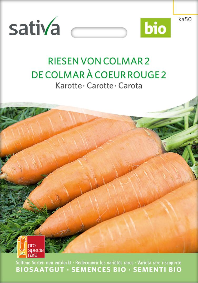 Karotten `Riesen von Colmar 2`