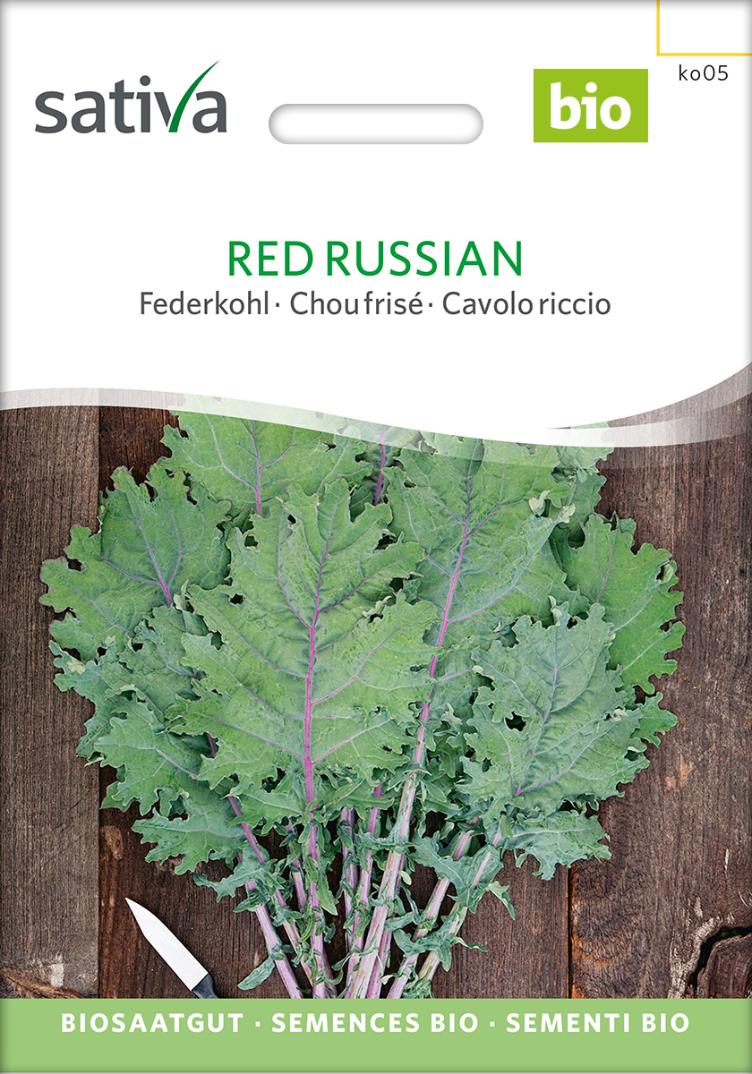 Federkohl `Red Russian`