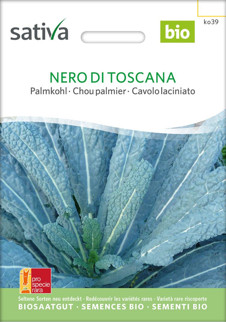 Palmkohl `Nero di Toscana`