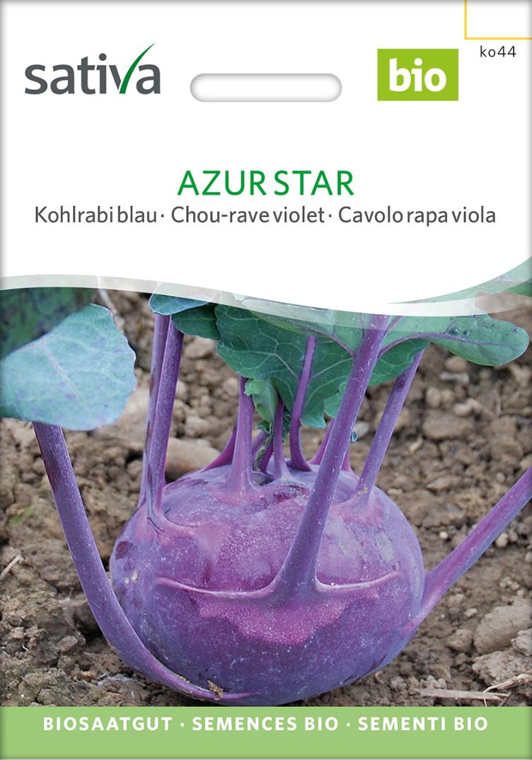Kohlrabi `Azur Star`