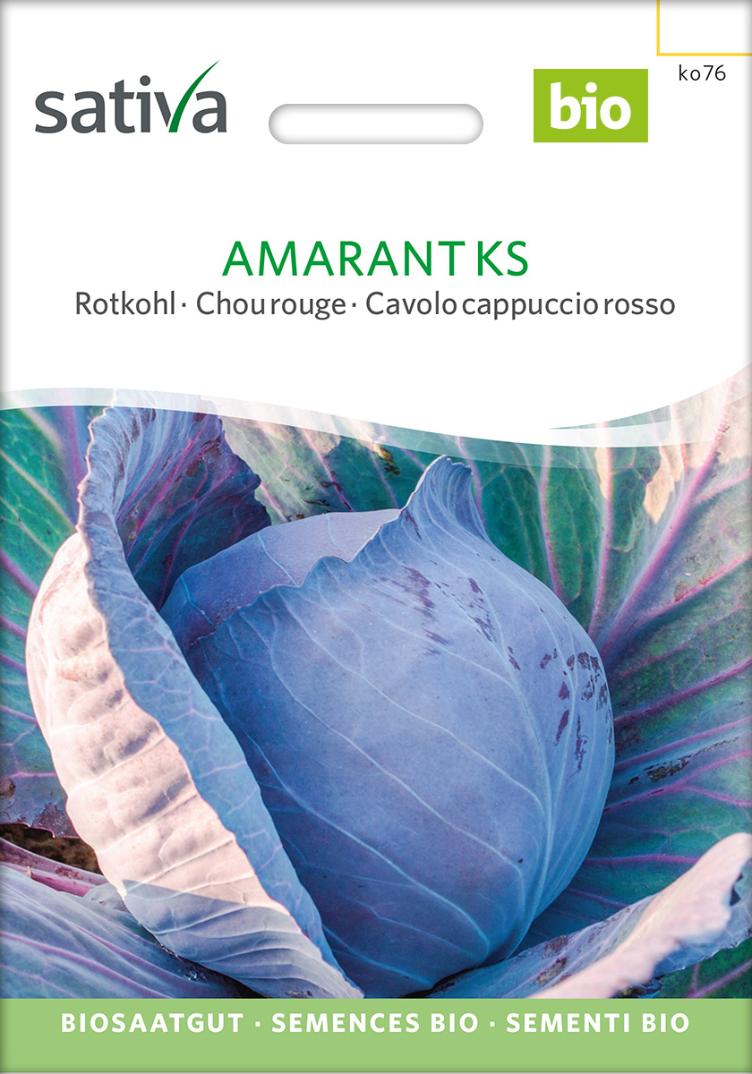 Rotkohl `Amarant KS`