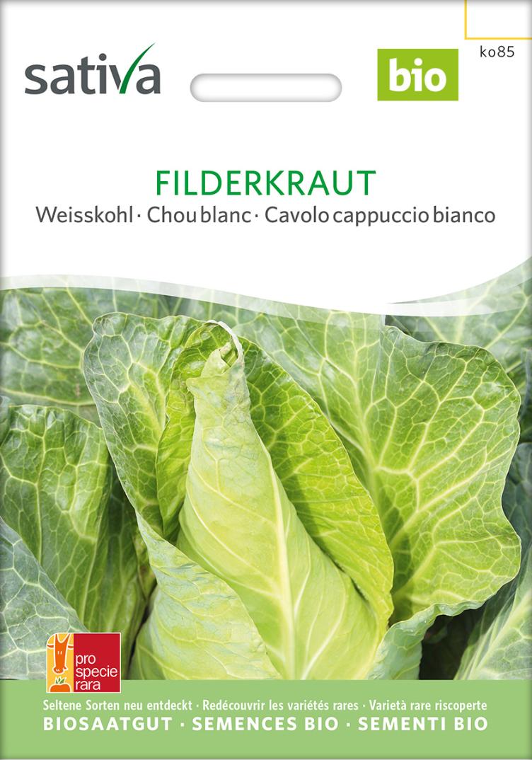 Weisskohl `Filderkraut`
