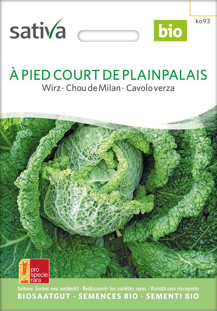 Wirz `A Pied court de Plainpalais`