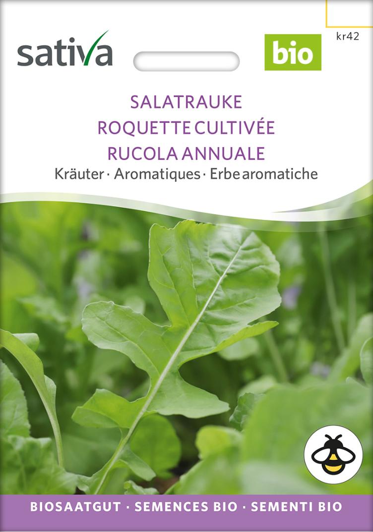 Salatrauke `Rucola einjährig`