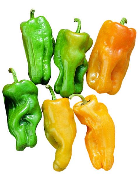 Paprika Petit Marseillais