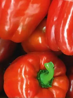 Paprika Quadrato d`Asti rosso