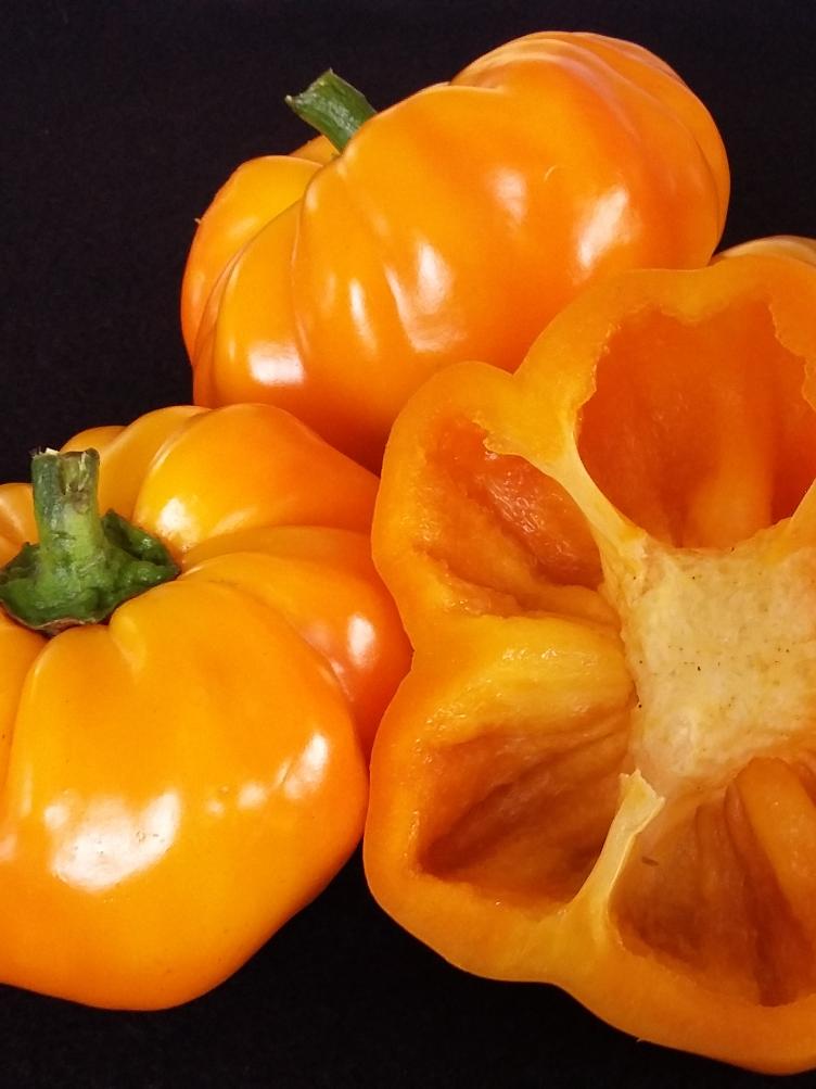 Paprika Tomatenpaprika gelb
