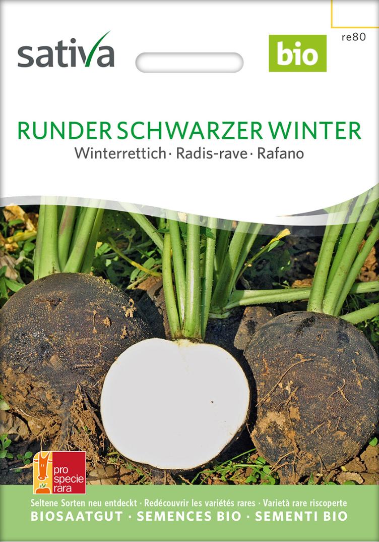 Winterrettich `Runder Schwarzer Winter`