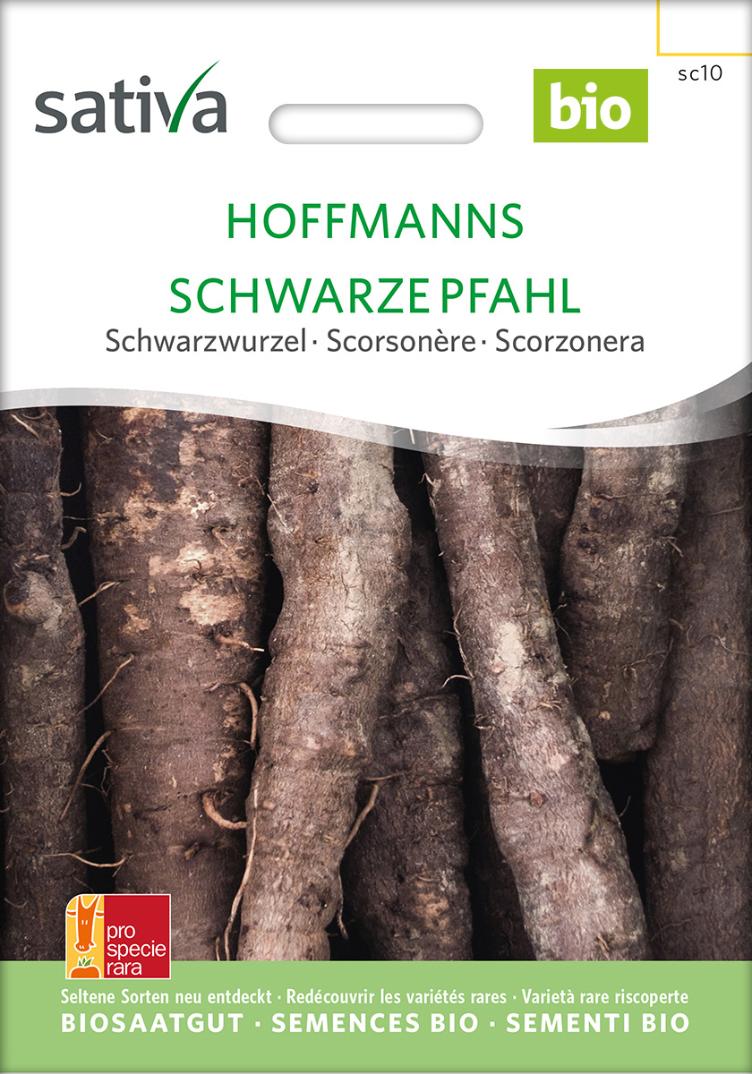 Schwarzwurzel `Hoffmanns Schwarze Pfahl`