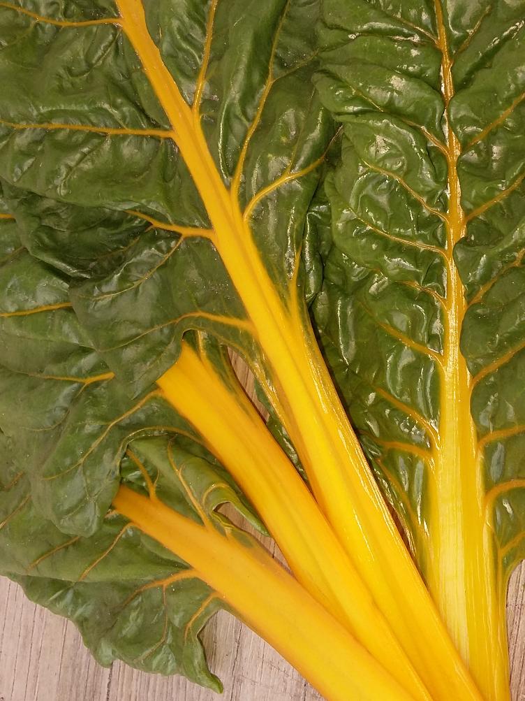 Sommerkrautstiel Golden