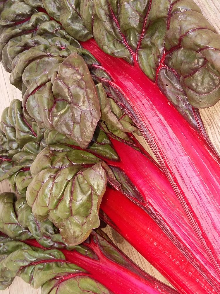 Sommerkrautstiel Roter Feurio