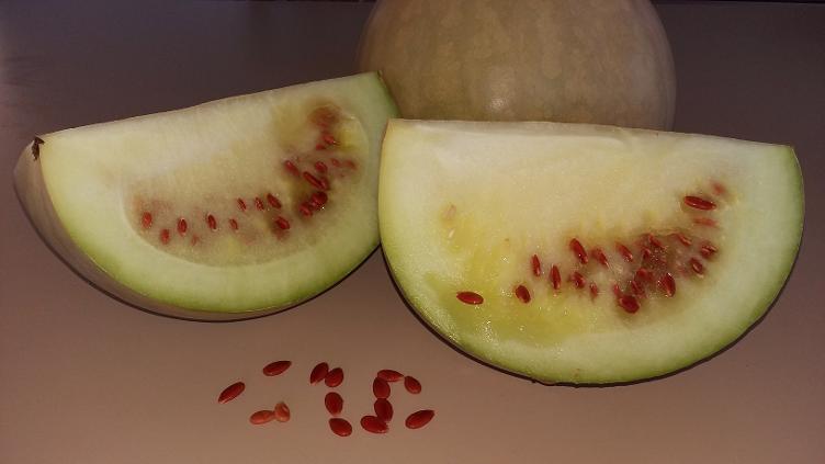 Wassermelone Konfi - 0