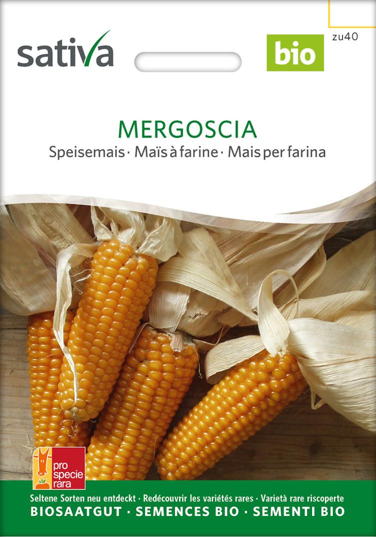 Speisemais `Mergoscia`